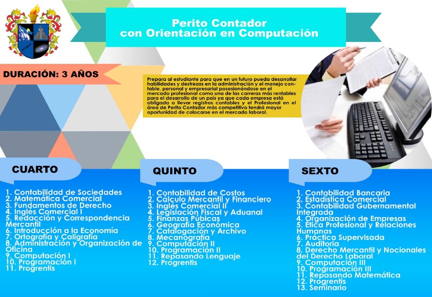 perito en computacion